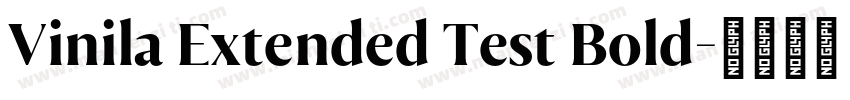 Vinila Extended Test Bold字体转换
